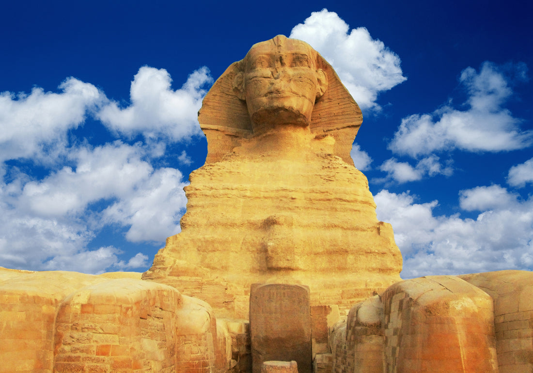Arbre de Vie Égyptien : tout savoir sur sa signification