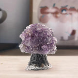 Feng Shui Arbre de Vie Mascotte