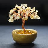 Feng Shui Arbre de Vie Citrine Spirituelle