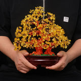 Feng Shui Arbre de Vie Chakra